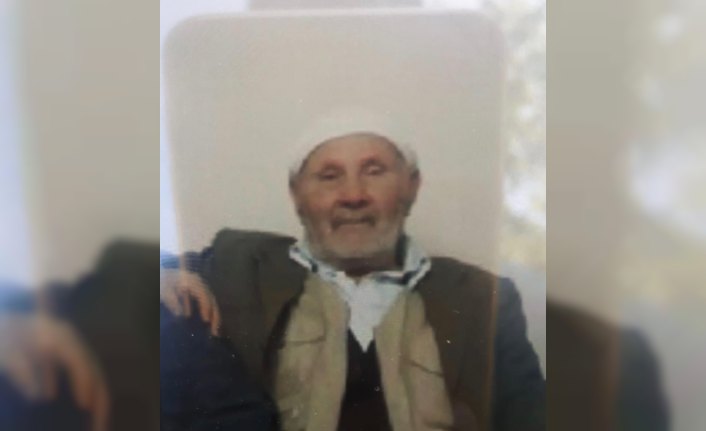 Ordu'da kaybolan yaşlı adam aranıyor