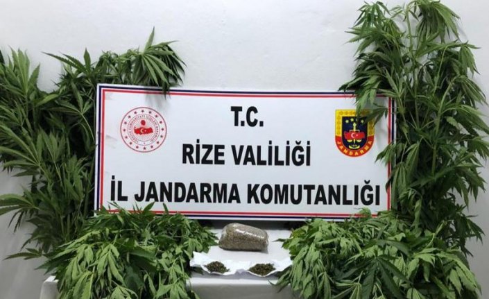 Rize'de Hint keneviri operasyonu