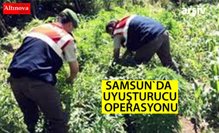 Samsun'da jandarmadan uyuşturucu operasyonu