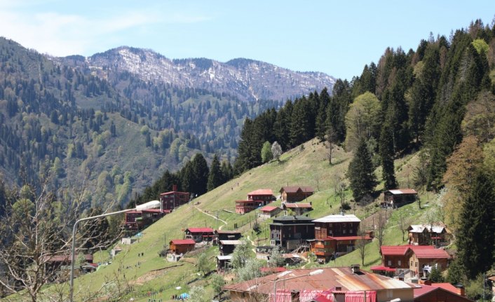 Tatilcilerden bayramda Ayder Yaylası'na ilgi