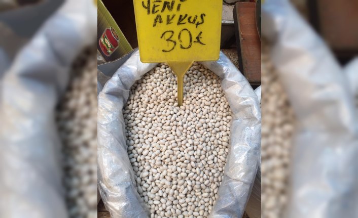 Tescilli Akkuş fasulyesinde rekolte hedefi 2 bin ton