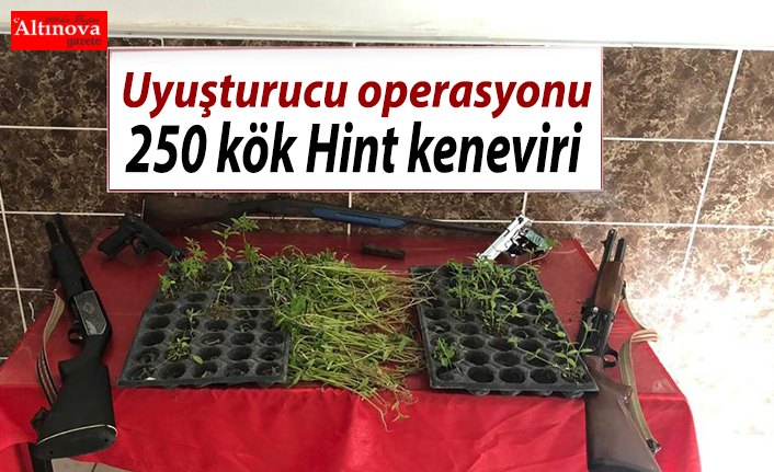 Uyuşturucu operasyonu