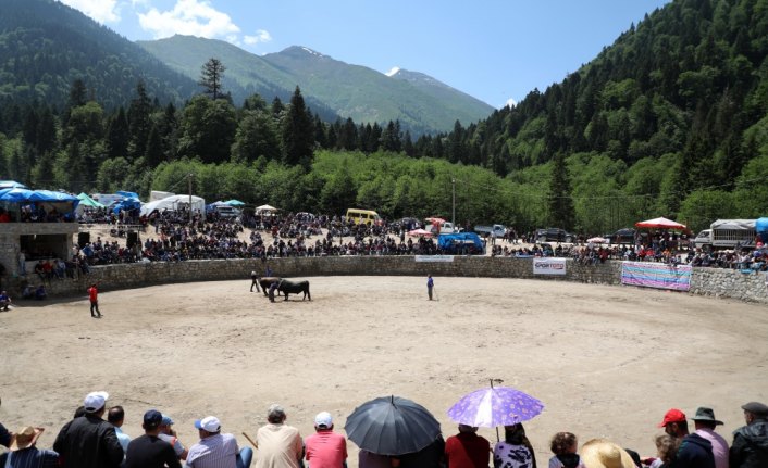 25. Çamlıhemşin Ayder Kültür, Sanat ve Doğa Festivali