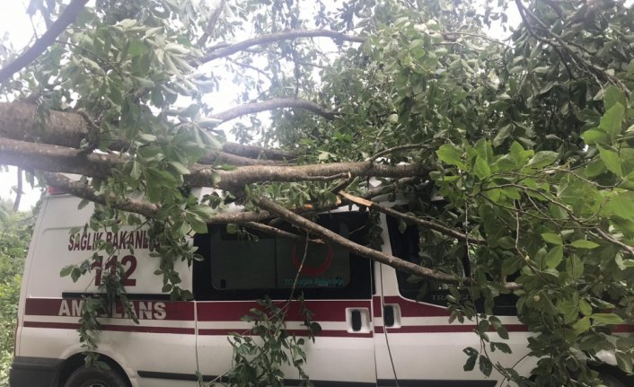 Ağacın üzerine düştüğü ambulansta hasar oluştu