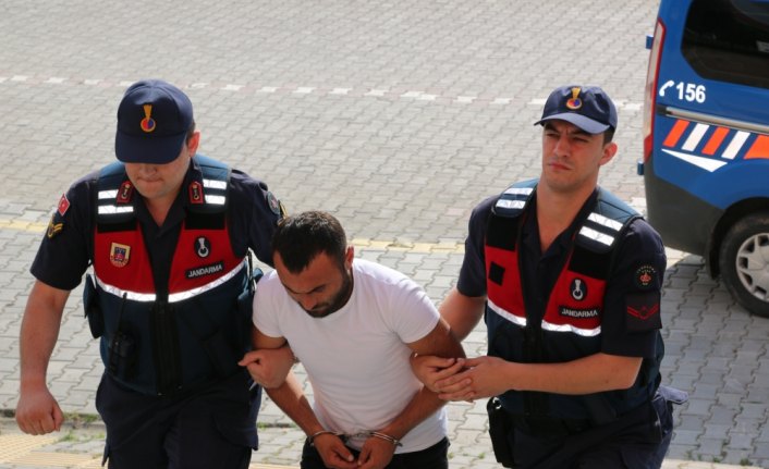 Çarşamba'da kenevir operasyonu