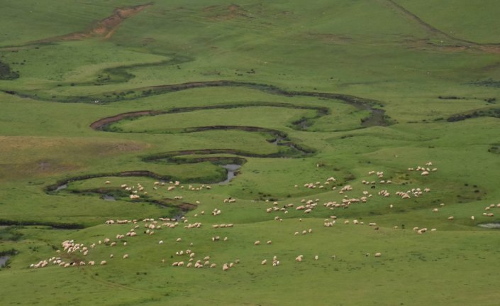 Doğa harikası menderesler ziyaretçilerini ağırlıyor