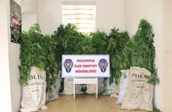 Düzce'deki uyuşturucu operasyonu