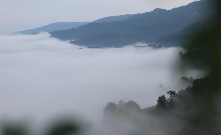 Düzce'nin yüksek kesimindeki sis görsel şölen sundu