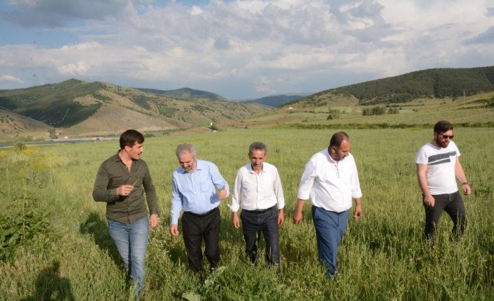 Erdoğdu, Satala Antik Kenti'nde incelemelerde bulundu