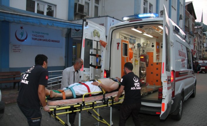 Giresun'da ayının saldırısına uğrayan çiftçi yaralandı