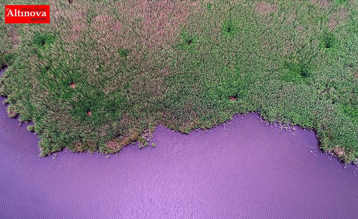 İğneada Longoz Ormanları'nda görsel şölen