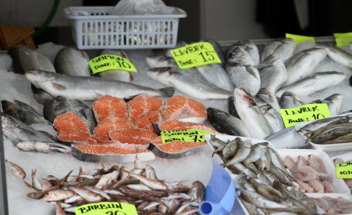 Kıyı balıkçıları umduğunu bulamadı