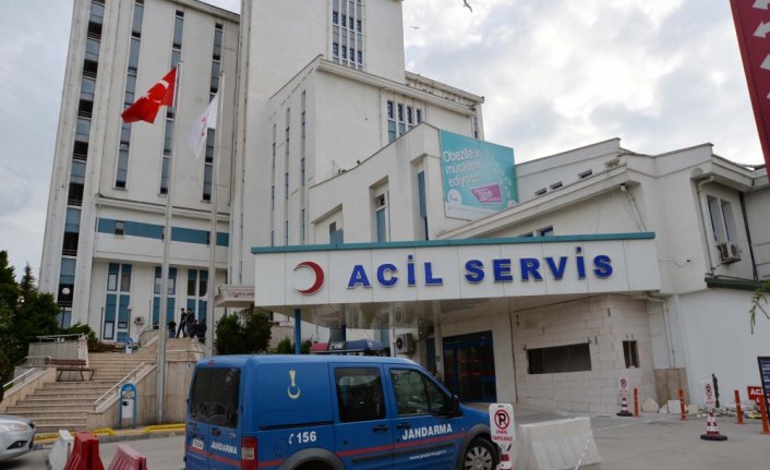 Ordu'da dananın boynuzla yaraladığı kişi öldü