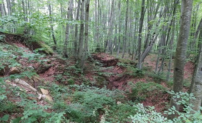 Ordu'da heyelan riski nedeniyle 69 hane boşaltıldı