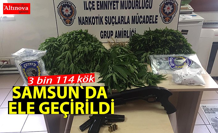 Samsun'da uyuşturucu operasyonu