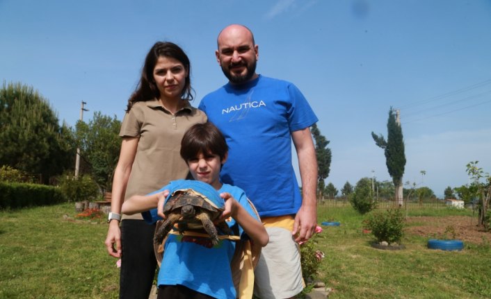 “Şanslı“ yapay kabukla hayata tutundu