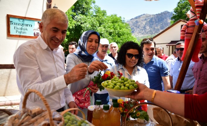 Tamzara ekolojik pazarı yeni sezonu açtı