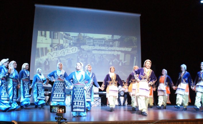 Vezirköprü'de halk oyunları ve türküler buluştu