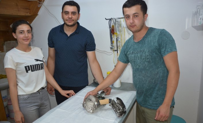 Yaralı martıyı Sahil Güvenlik ekipleri kurtardı