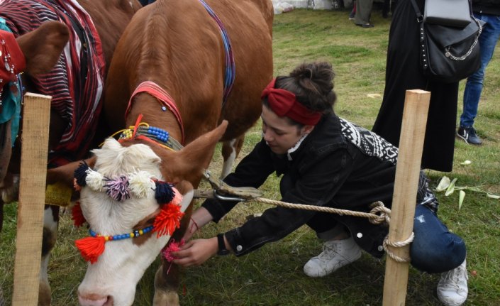 18. Geleneksel Çambaşı Yaylası Festivali