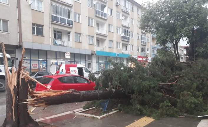 Amasya'da kuvvetli rüzgar etkili oldu