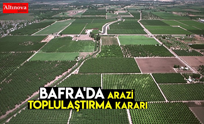 Bafra'da arazi toplulaştırma kararı