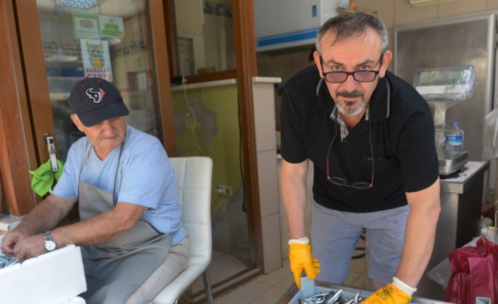 Balıkçılarda temmuzda hamsi şaşkınlığı