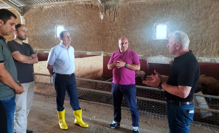 Bayburt Üniversitesinden organik yem katkı maddesi projesi