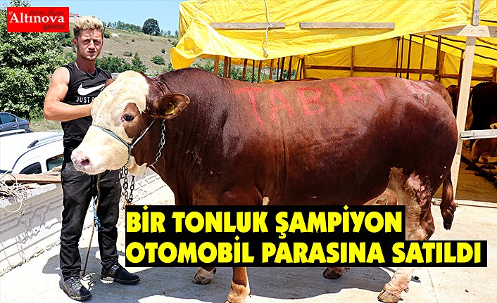 Bir tonluk "Şampiyon" otomobil parasına satıldı