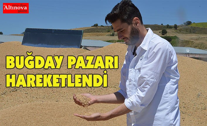 BUĞDAY PAZARI HAREKETLENDİ