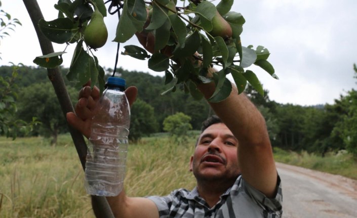 Çöpleri ağaç dallarına asarak çevre kirliliğine dikkati çekiyor