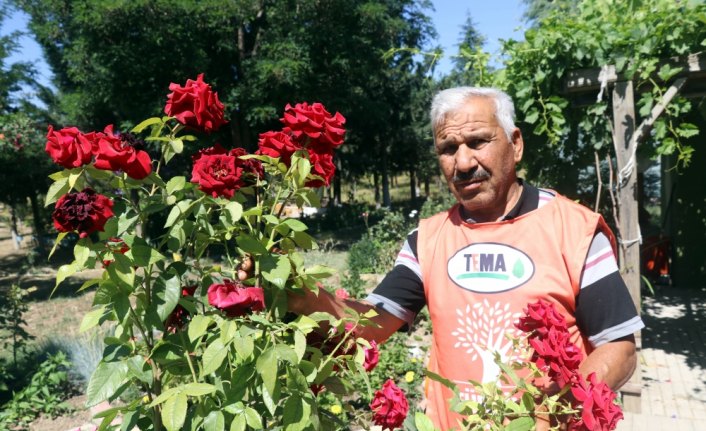 Çöplüğü 22 yıllık emekle botanik bahçesine çevirdiler