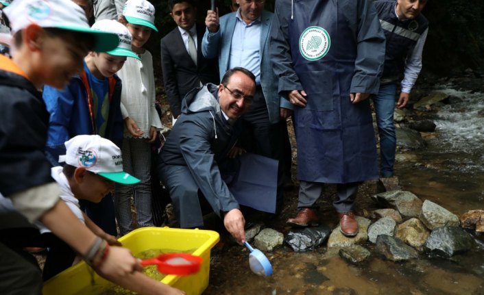 Fırtına Deresi'ne 7 yılda 1,5 milyon balık bırakıldı