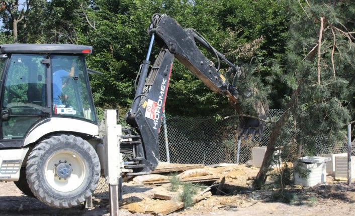 Foseptiğe düşen ayı kurtarıldı