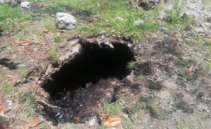 Fuel-oil dolu kuyudan kediyi kurtardı