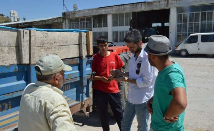 Havza'da buğday pazarı hareketlendi