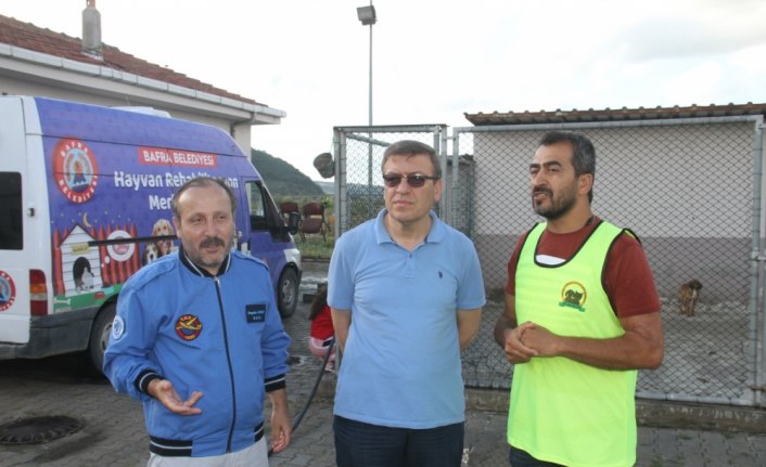 Hayvanseverler, sokak hayvanları için pedal çevirdi