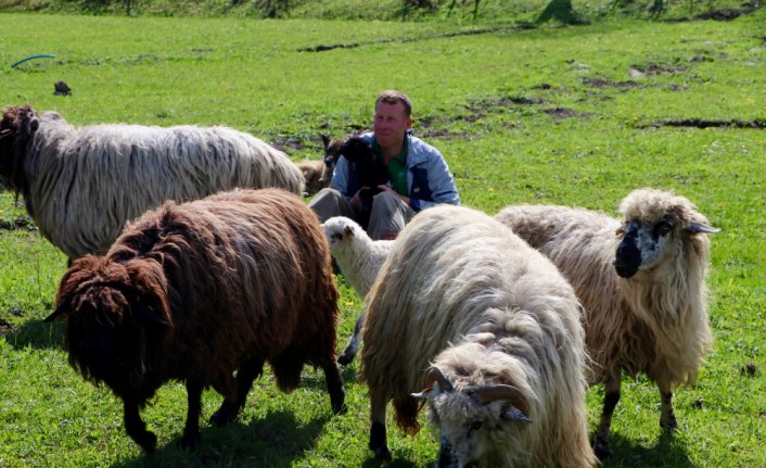 Huzuru Köyde Bulanlar - Muhasebeciliği bıraktı köyünde hayvancılık yapıyor