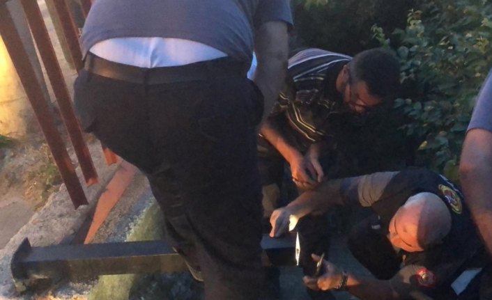 Korkuluklara sıkışan kuşları itfaiye kurtardı