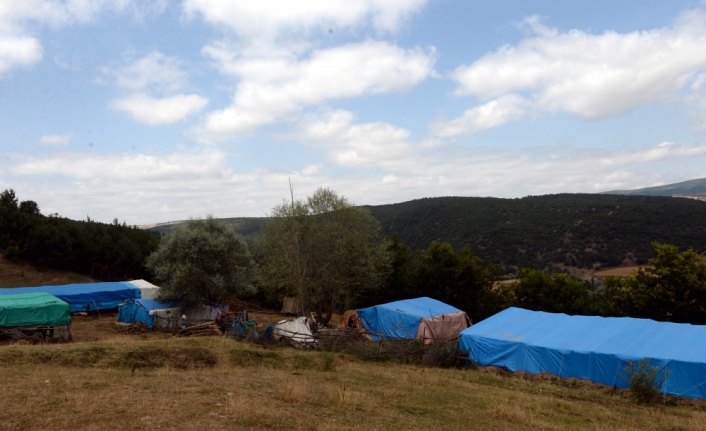 Minik Evrim'den 1 yıldır haber yok