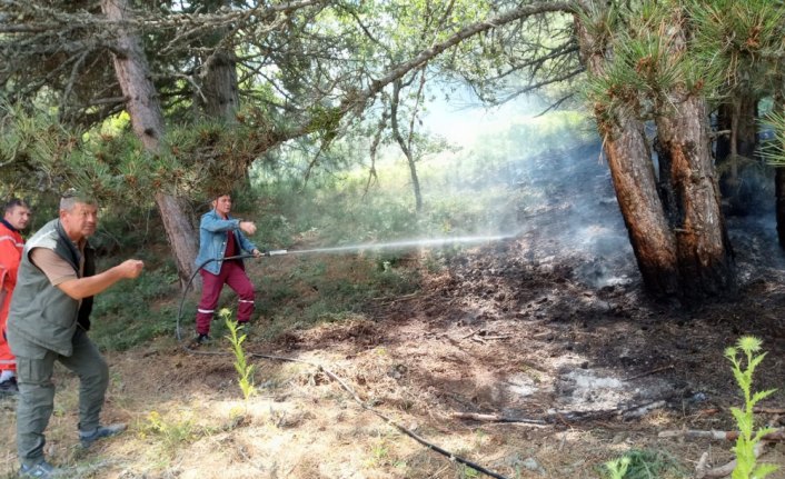 Mudurnu'da örtü yangını