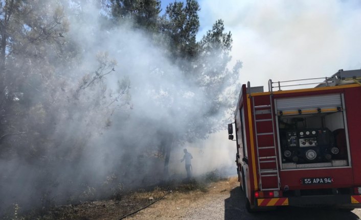 Piknikçilerin neden olduğu yangın söndürüldü