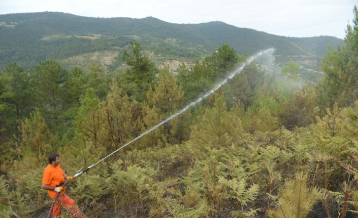 Sinop’ta orman ve örtü yangını