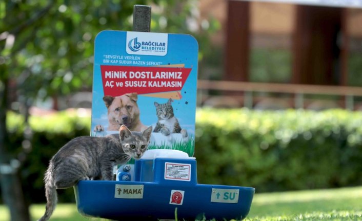 Sokak hayvanları için su ve mama hizmeti