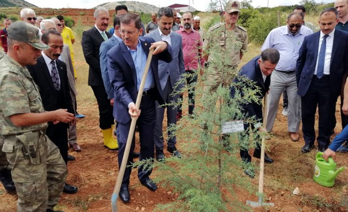 Tokat'ta 15 Temmuz şehitleri anısına hatıra ormanı