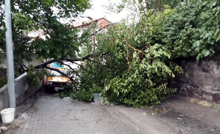 Tokat'ta kuvvetli rüzgar etkili oldu