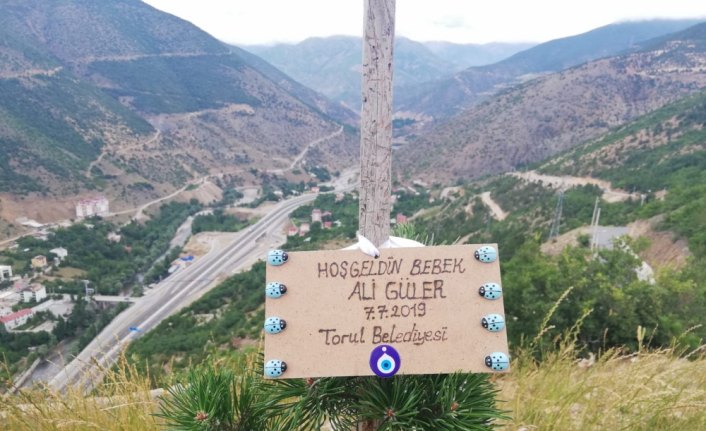 Torul'da her doğan çocuk için bir fidan dikilyor