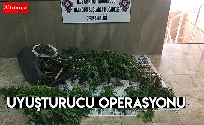 Uyuşturucu operasyonu