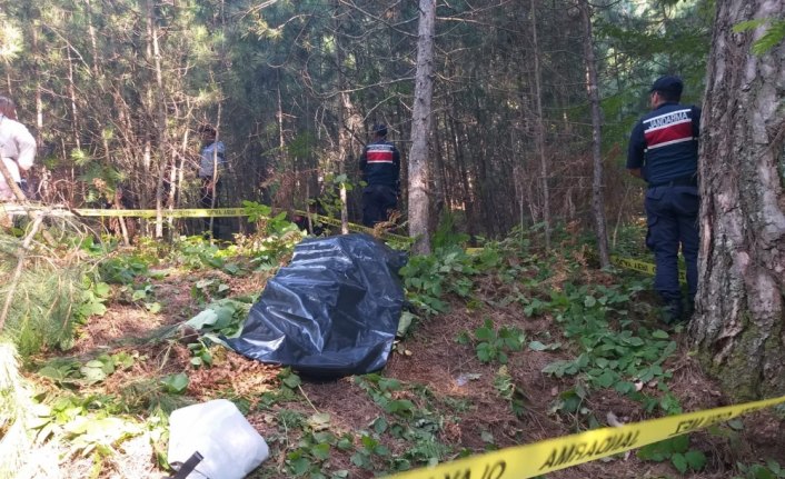 Zonguldak'ta ayı saldırısına uğrayan kişi öldü