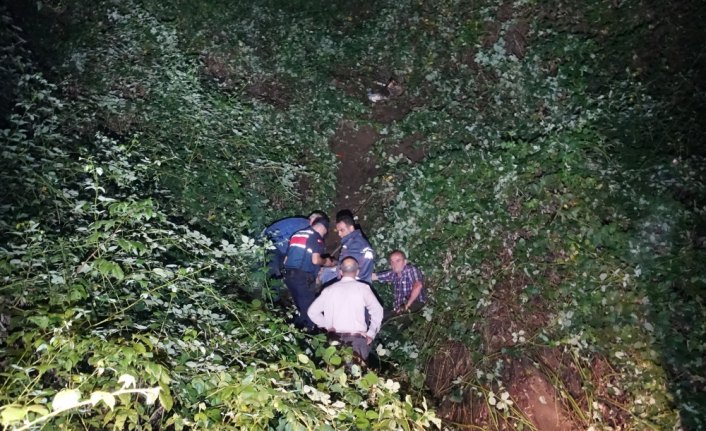 Artvin'de kamyonet uçuruma yuvarlandı: 1 ölü